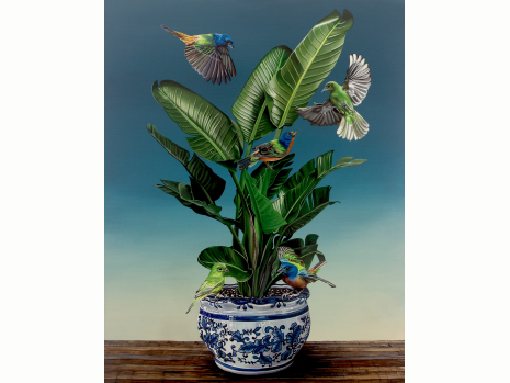 Birds of Paradise - Signed Print - Free Shipping