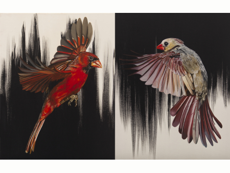 Mr.& Mrs. Crimson Set of Two Matching Signed Prints - FREE SHIPPING