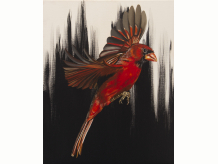 "Mr.& Mrs. Crimson No.1" Signed Print - FREE SHIPPING