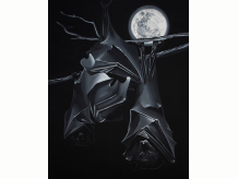 garden, midnight, bats, moon, night, goth, black, white rose, black abbey