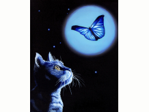 Kitten, Cat, Butterfly, Midnight, Garden, White Rose, Black Abbey Studios