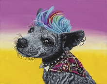Punk, punkrock, pup, puppy, dog, rock, colorful, bright, cheery